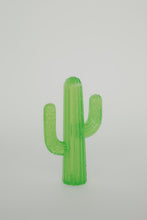 Afbeelding in Gallery-weergave laden, Zippytuff cactus

